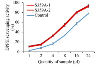 Figure 2 Antioxidant assays indicated that carotenoids in mature 57 days after pollination S359A tomato fruits had higher antioxidant activities than the control. S359A-1 and S359A-2 represent two independent S359A tomato lines. Antioxidant activity was defined by the ability to scavenge free radicals in DPPH (1,1-diphenyl-2-picrylhydrazyl).