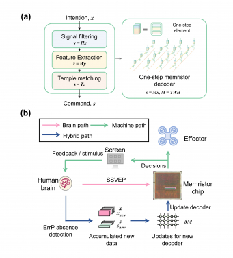 Real-time brain-controlled drone flight using memristor chip-based EEG decoding.