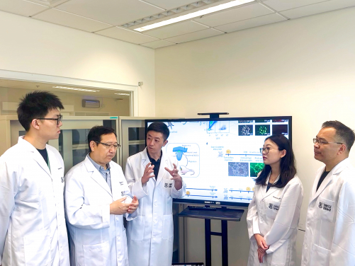 A research team, led by Dr Han Dong (third left) and Professor Liu Pengtao (second left), has discovered a previously unknown type of neural stem cell located outside the experimental mouse central nervous system, opening up transformative possibilities in regenerative medicine for treating neurological diseases and injuries.
 