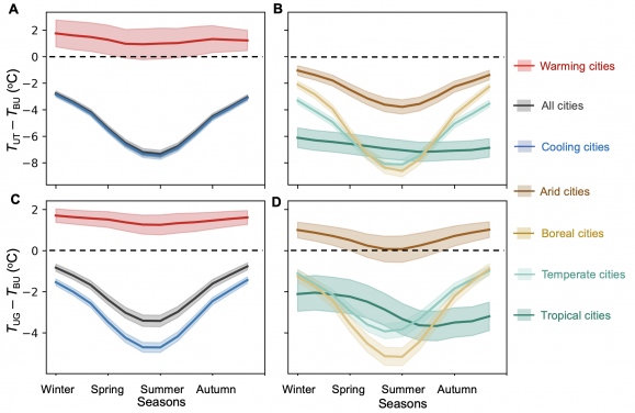 HKU Geography Research Reveals the “Warming Paradox” of Urban Greenery