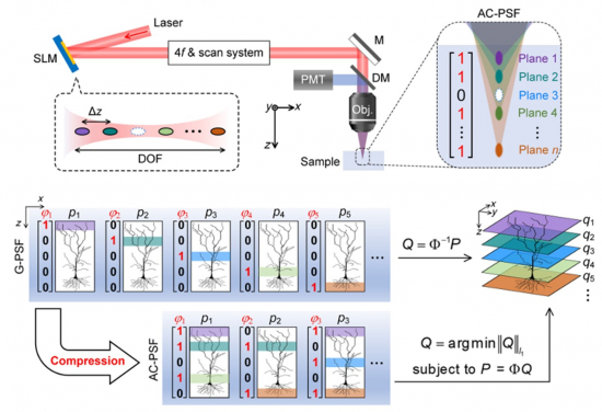 Powered by the Arbitrary Illumination Microscopy with Encoded Depth (AIMED) technique, axial encoding enables simultaneous multiplexing of multiple depth layers, allowing volumetric information to be reconstructed from substantially fewer scans through the joint use of structured illumination and compressive sensing.

 