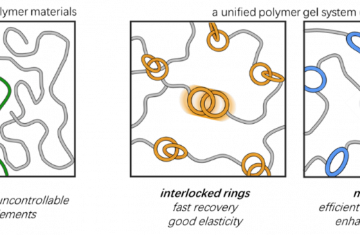 HKU Chemists Unlock the Secret to Designing Ultra-Tough and Responsive “Smart” Materials