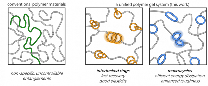 Illustration of different molecular ring structures in polymer materials. Image adapted from Luo et al., JACS (2026).